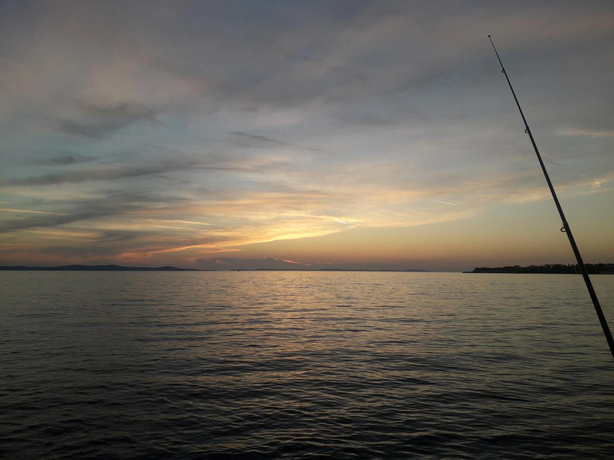 Sunset1, Free Private Parking, Pets Welcome Apartment